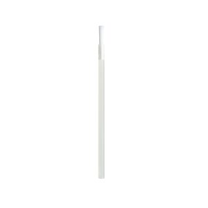 Disposable Lip Brushes, Pack of 25