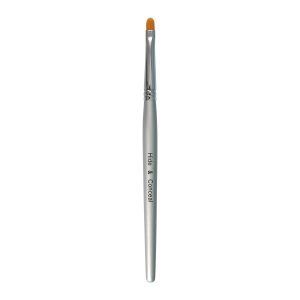 Hide and Conceal Brush