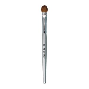 In the Shadow Brush