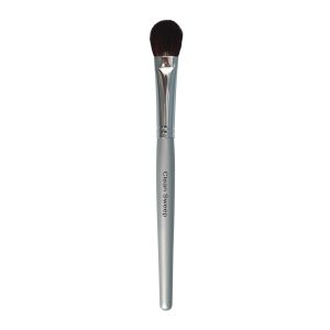 Clean Sweep Brush